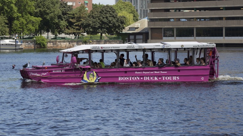403-3868 Charles River Cruise - Boston Duck Tours.jpg